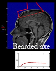 bearded axe simulation